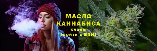 индика Богданович